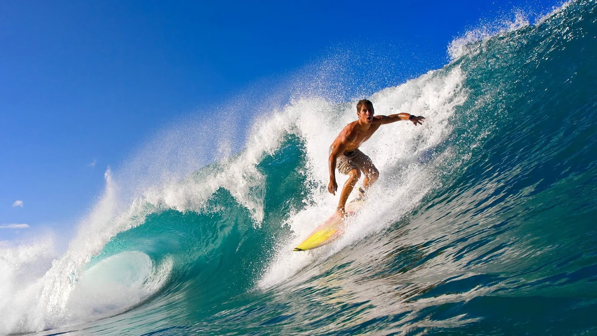 中国体操新星首次亮相国际赛场表现不俗，中国体操运动员比赛视频2021